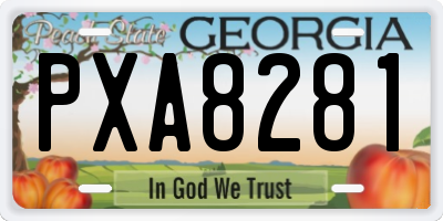 GA license plate PXA8281