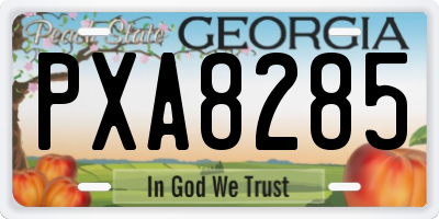 GA license plate PXA8285