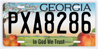 GA license plate PXA8286