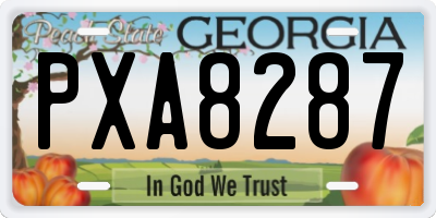 GA license plate PXA8287