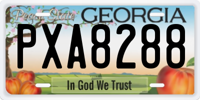 GA license plate PXA8288