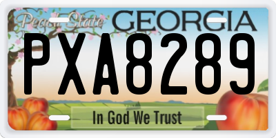 GA license plate PXA8289