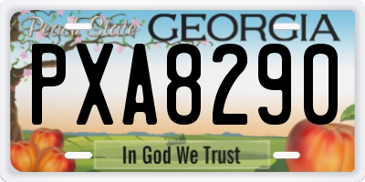 GA license plate PXA8290