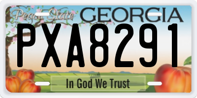 GA license plate PXA8291