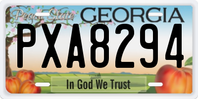 GA license plate PXA8294