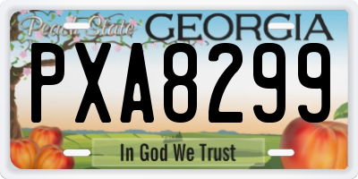 GA license plate PXA8299