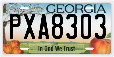 GA license plate PXA8303