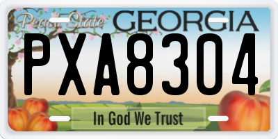 GA license plate PXA8304