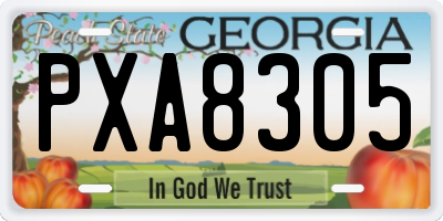 GA license plate PXA8305
