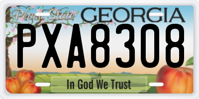 GA license plate PXA8308
