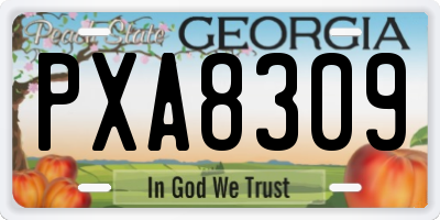 GA license plate PXA8309