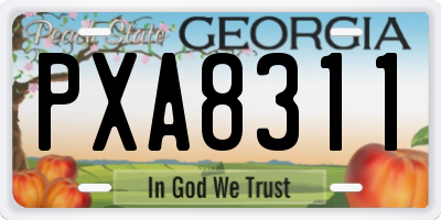 GA license plate PXA8311