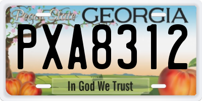 GA license plate PXA8312