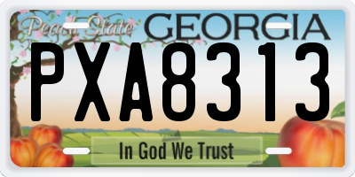 GA license plate PXA8313