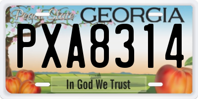 GA license plate PXA8314
