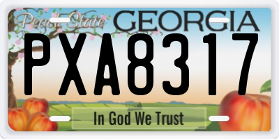 GA license plate PXA8317