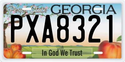 GA license plate PXA8321