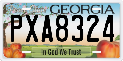 GA license plate PXA8324