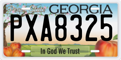 GA license plate PXA8325