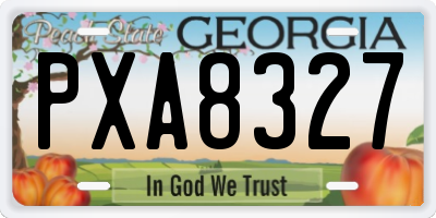 GA license plate PXA8327