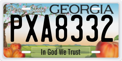GA license plate PXA8332
