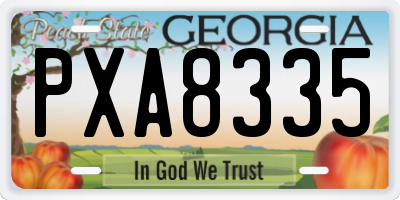 GA license plate PXA8335