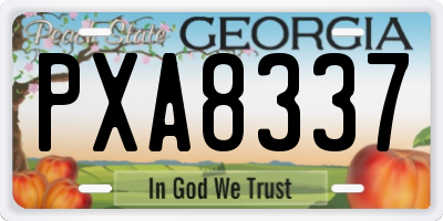 GA license plate PXA8337