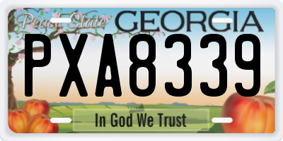 GA license plate PXA8339
