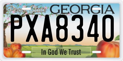 GA license plate PXA8340