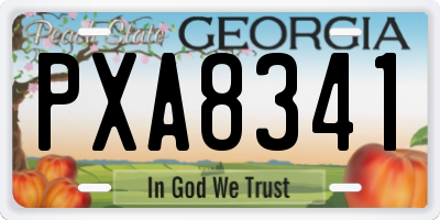 GA license plate PXA8341