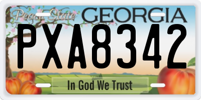 GA license plate PXA8342