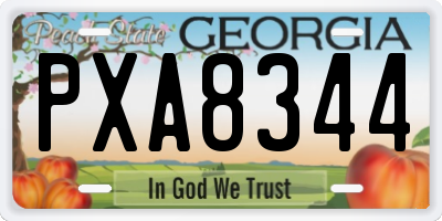 GA license plate PXA8344