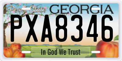 GA license plate PXA8346