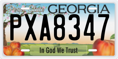 GA license plate PXA8347