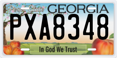 GA license plate PXA8348