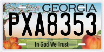 GA license plate PXA8353