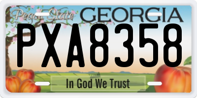GA license plate PXA8358
