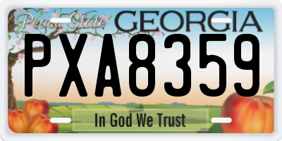 GA license plate PXA8359