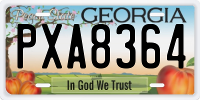 GA license plate PXA8364