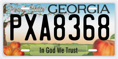 GA license plate PXA8368