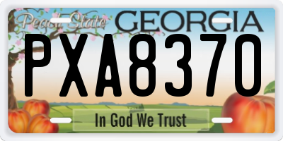 GA license plate PXA8370
