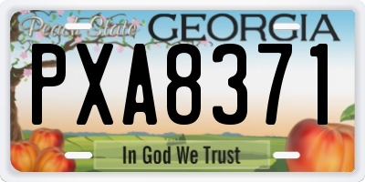 GA license plate PXA8371
