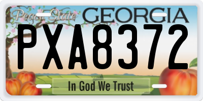 GA license plate PXA8372