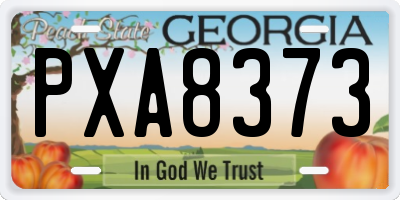 GA license plate PXA8373