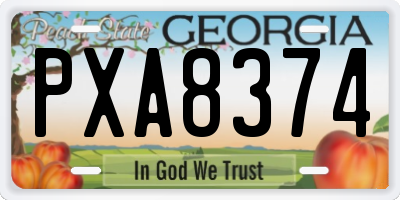 GA license plate PXA8374