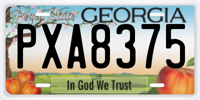GA license plate PXA8375