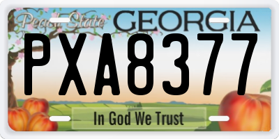 GA license plate PXA8377