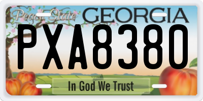 GA license plate PXA8380