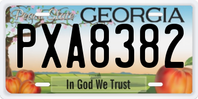 GA license plate PXA8382