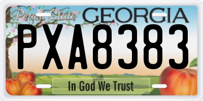 GA license plate PXA8383